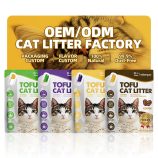 H013110a89e6644ee92effaff22b4c3f31