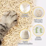 H0316348d698f482c838eb0c0bc9c20c2q