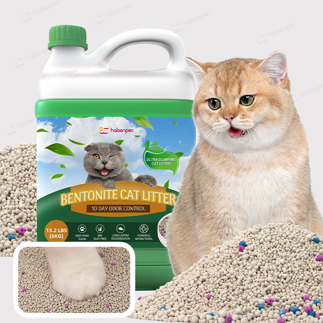 H09608d93c2a04ef6b5b69675a54dd4e1A H09608d93c2a04ef6b5b69675a54dd4e1A