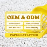 H0a72964ec48c40aeafc88bf2963bc88eP