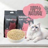 H11abe245358648fe9ca54a2deee65e99h