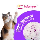 H212101ddca0f46889888029ae7c6016eZ