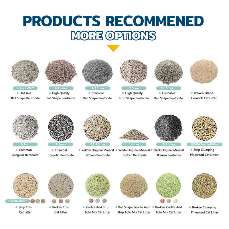 H33a53a0f88fa4faaa7a9f0620b925e37Y H33a53a0f88fa4faaa7a9f0620b925e37Y