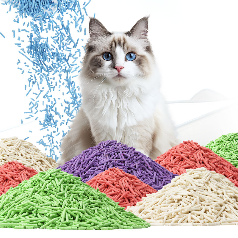 H3b83c592adb24484adf8af0830ea7e8aW H3b83c592adb24484adf8af0830ea7e8aW