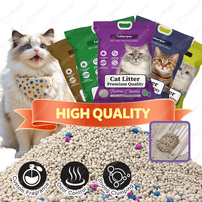 H3c1bdf6a239e479f87c1289357924091a H3c1bdf6a239e479f87c1289357924091a