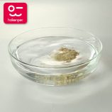 H42d6bf65b5cf4322bd823608c8aaf825g