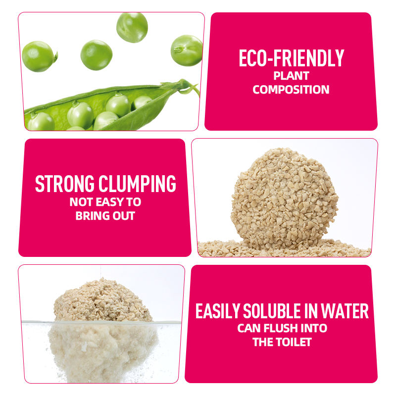 H452c7efd31e246e39f9a506a0b97bb0fR H452c7efd31e246e39f9a506a0b97bb0fR