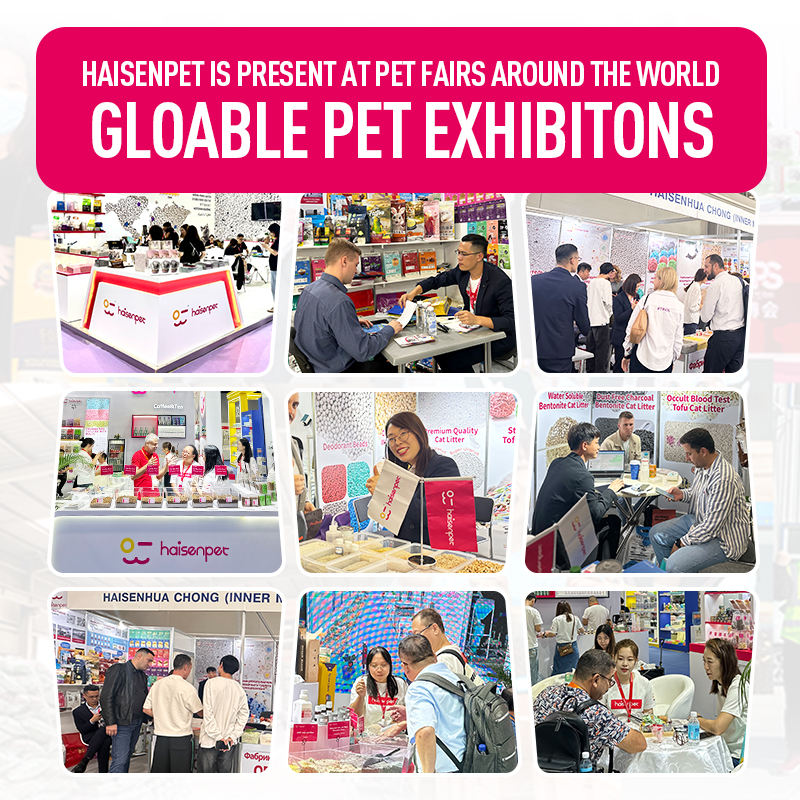 H452ca96971934ff8b739f368a4477fa9w H452ca96971934ff8b739f368a4477fa9w