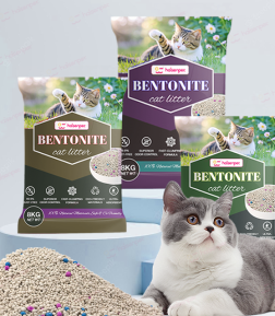 Free Samples Adequate Stock High Quality Antibacterial Dust Free Ball Shape Kitty Litter