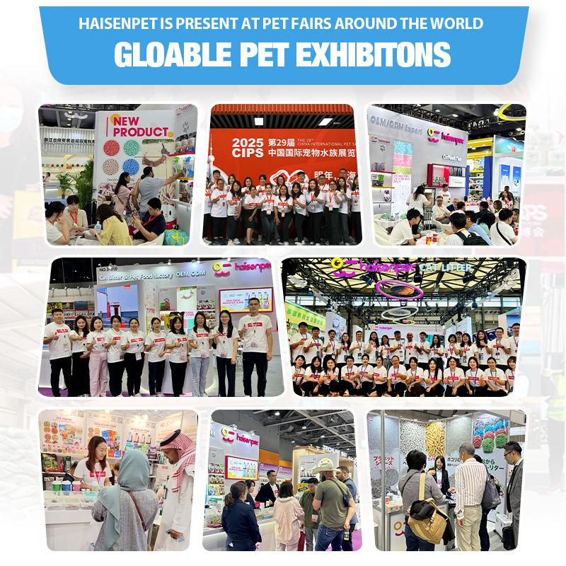 H51568fcdad1d4a8caeb121d5a6a9a776a H51568fcdad1d4a8caeb121d5a6a9a776a