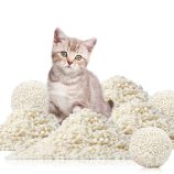 H54176849fec74f79876830f1b6d003eeI