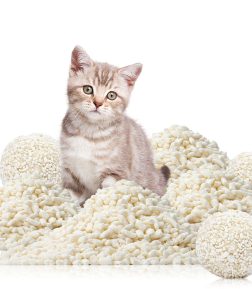 Factory Direct Sale Premium Clumping Cassava Cat Litter Sand