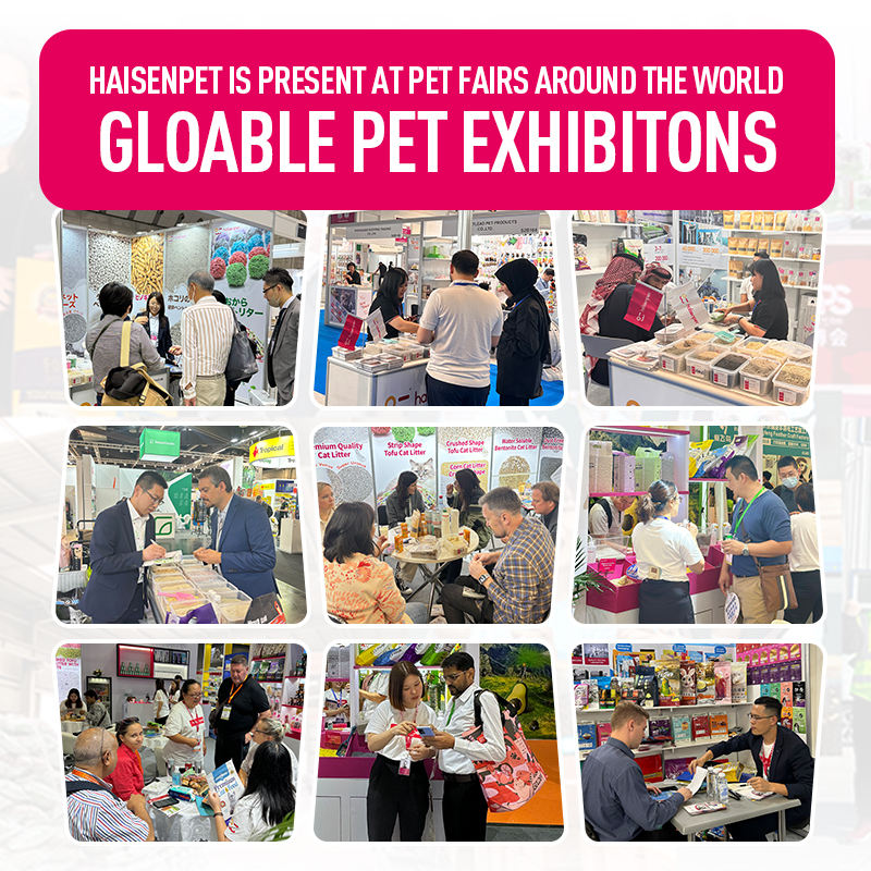 H5e67c0dd3f61489fb7d97a0b81a239d9w H5e67c0dd3f61489fb7d97a0b81a239d9w