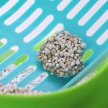 H636222acfc8b4fd3bf21f8150eedf7deH