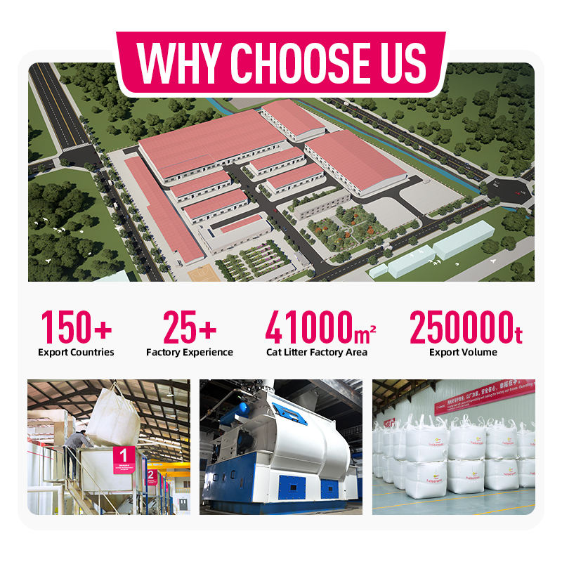 H6aaa8a02d353408391247ddf1e06b16ee H6aaa8a02d353408391247ddf1e06b16ee