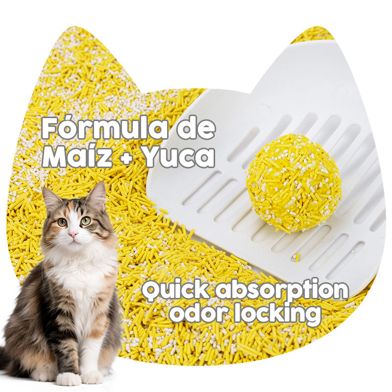 H7bc8f56508ff4471b17b57fb63b6caffQ H7bc8f56508ff4471b17b57fb63b6caffQ