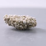 H7f53feb66ec14d3da1fdd452c6bfa774d