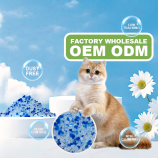 H8cf9d6d2ef944daebe37d51c4ee5280aw