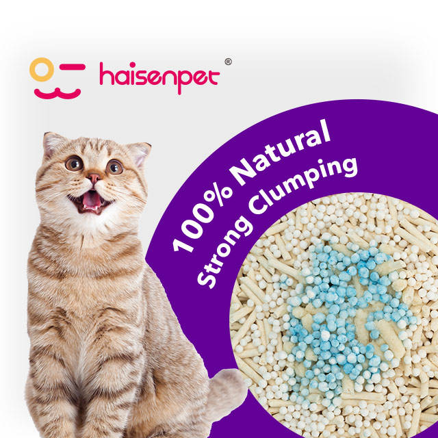 H907c813202b443b7983b0aeb48df68a7B H907c813202b443b7983b0aeb48df68a7B