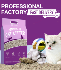 Free Samples Catlitter Custom Logo Fragrance Package Fast Delivery Dust Free Strong Broken Bentonite Litter Sand for Cat