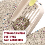 Ha18d82ecbd1b4b1797d44977aa9200808