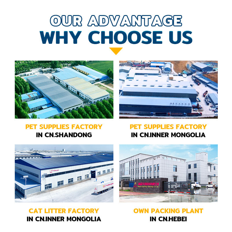 Hb79c69714c514d2893a3421963fcebdcn Hb79c69714c514d2893a3421963fcebdcn