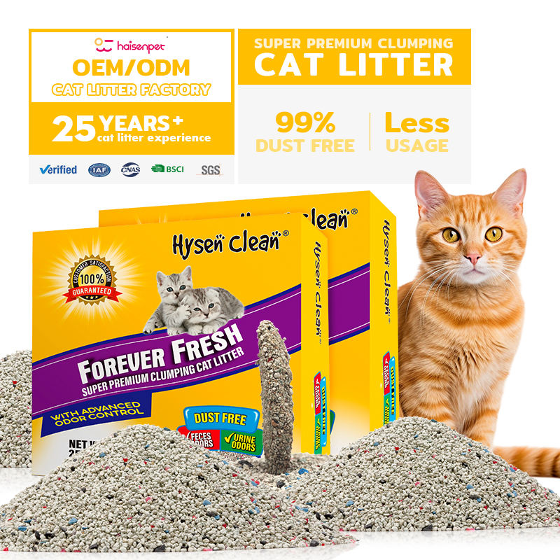 Hbbe759a4f01d4b7dbdb4ead20d13847cD Hbbe759a4f01d4b7dbdb4ead20d13847cD