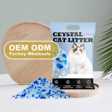 Hcaf53da165e04456963a7a8982477110e