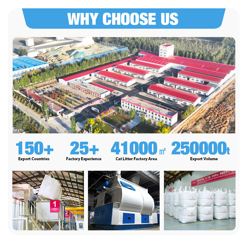 Hceb0785190384c778540a06e85c43805v Hceb0785190384c778540a06e85c43805v