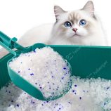 Hd82149f9280a427485a84e35d0906ba2f