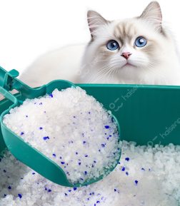 MSDS Ce Free Samples Crystal Cat Sand Custom Fragrance Dust Free Silica Gel Cat Litter