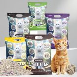 He53a36d830144c248b428a8fe45f614bq