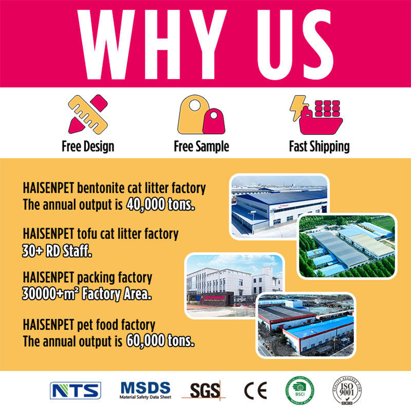 Hf1c3993f152345cc8596329b1503a209d Hf1c3993f152345cc8596329b1503a209d