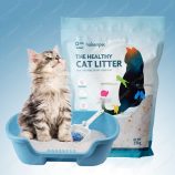 Hfc4cc76c175a4d1b9be1cf580bfec25bR