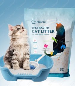 Best-Selling Bulk 2.5kg Highly Absorbent Easy Cleaning Odor Control Premium Crystal Cat Litter