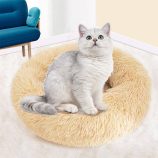 H0053925dbc634621b3c3c96fcfa6b234i