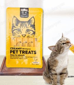 Custom Logo Pet Wet Snack Chicken Tuna Salmon High Protein Creamy Cat Treat Food