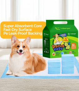 Fast Delivery 10 Days Custom Logo Package Super Absorbent Disposable Pet Dog Pee Pad