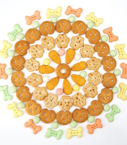 OEM ODM Pet Food Wholesale Factory BSCI Premium Natural Delicious Dog Food Dog Treats