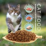 H17d5386f534c4ef09042a0c28a80da62z