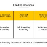 H195578982cca43339f0a75e17deca4dab