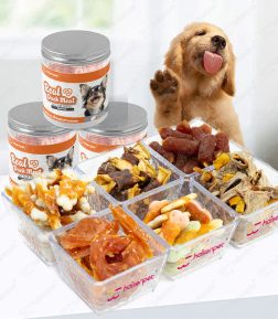 OEM ODM Pet Food Wholesale Suppliers Bottled Air-dired Pet Snacks Dry Dog Treats Food