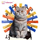 H2072b32648fc48b19d9fab10babe73baz