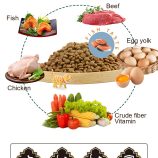 H23037edb1f224a5d93a184e8259e43f3p