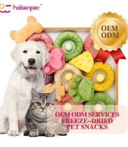 OEM ODM Pet Food Chicken Dragon Fruit Freeze Dried Cat Dog Treats Snacks