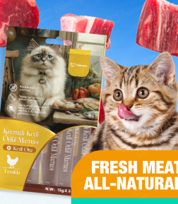 Factory Direct Sales Free Samples Grain-Free All-Natural Ingredients High-Protein Wet Cat Food
