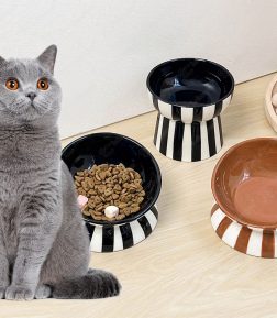 OEM ODM Factory Wholesale Minimalist Style Contrasting Striped High Heels Pet Cat Feeding Bowl