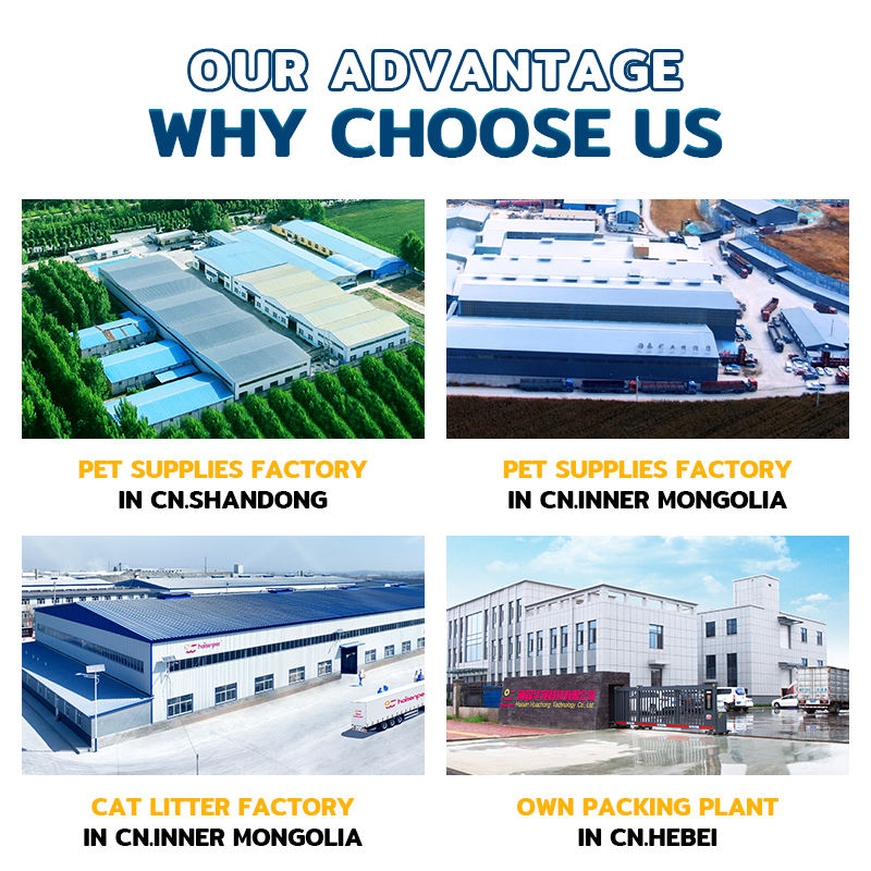 H2c8d90b5885644d4b0006243b25a4ce8L H2c8d90b5885644d4b0006243b25a4ce8L