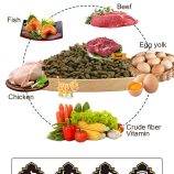 H2f329f45579044d1b23382fe1039d01aQ