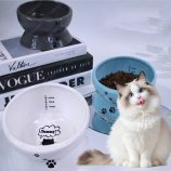 H361d2b44b6954404a85b21ca698d928fQ